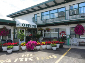 Flamingo Motel
